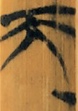 天