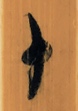 视